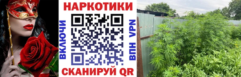 Где можно купить наркотики Курильск COCAIN  Галлюциногенные грибы  АМФЕТАМИН  Меф мяу мяу  ГАШИШ  Alpha PVP 