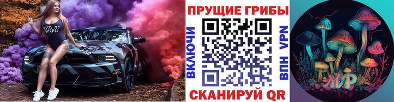 Галлюциногенные грибы мицелий  Курильск 